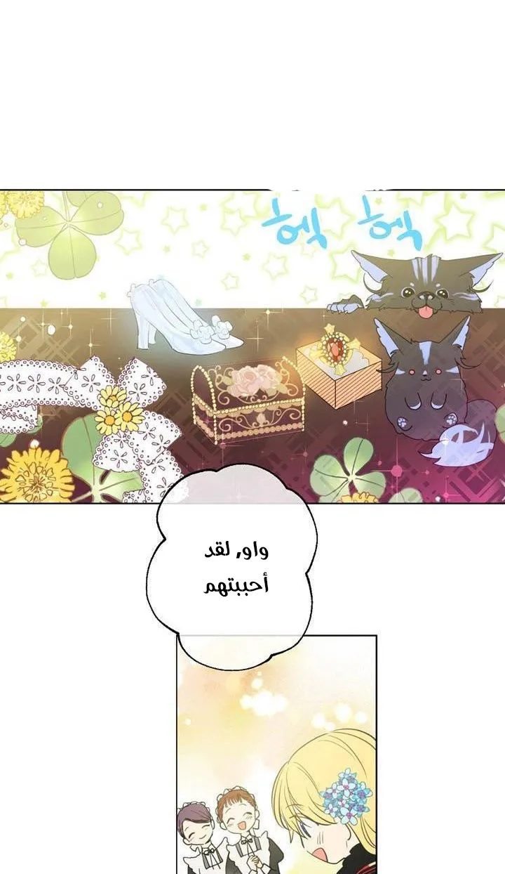 الصفحة 28 من 58