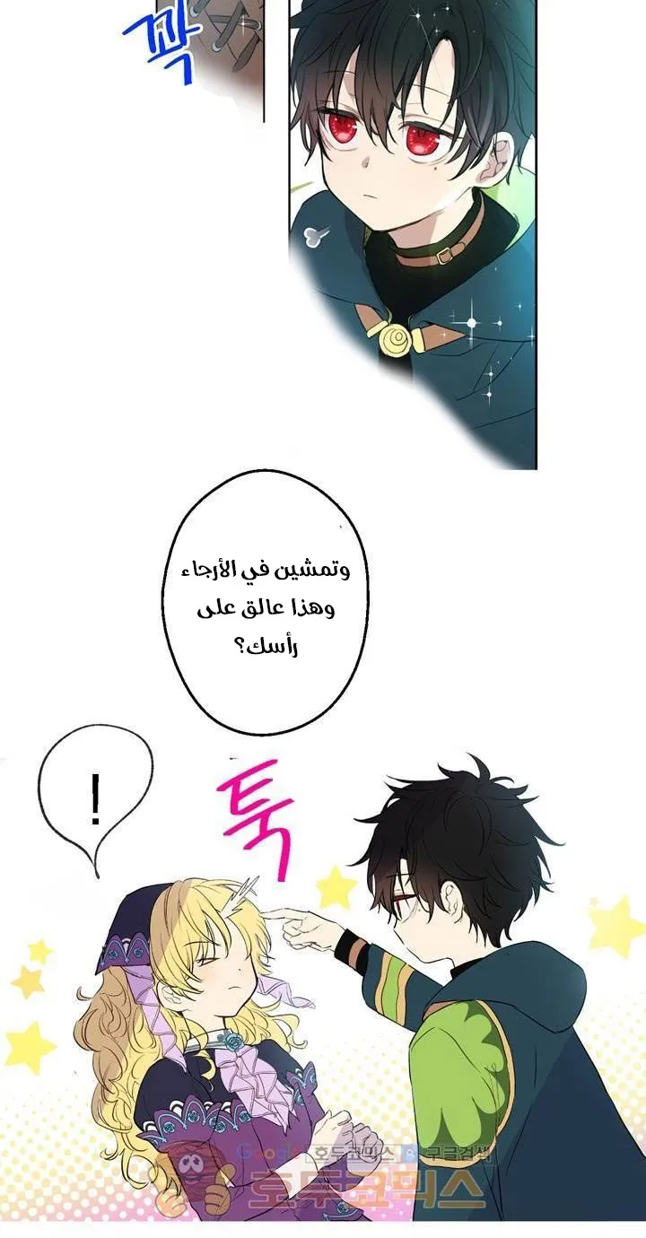 الصفحة 21 من 58