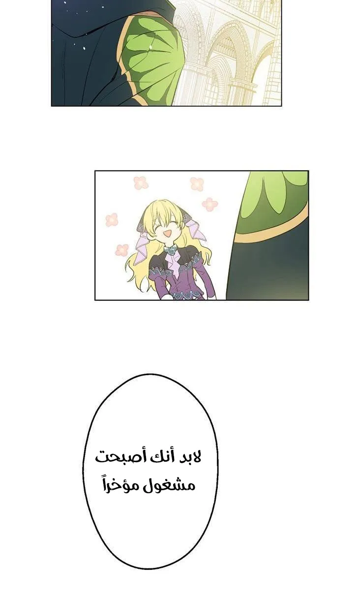 الصفحة 13 من 58