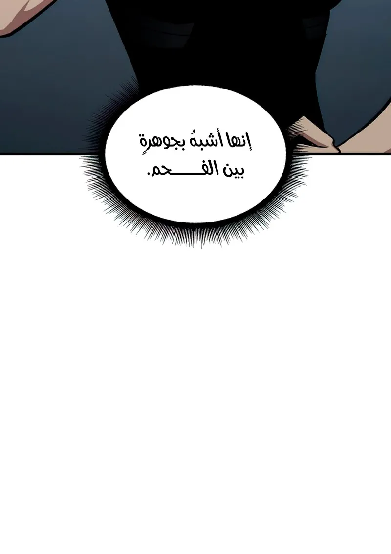الصفحة 29 من 117