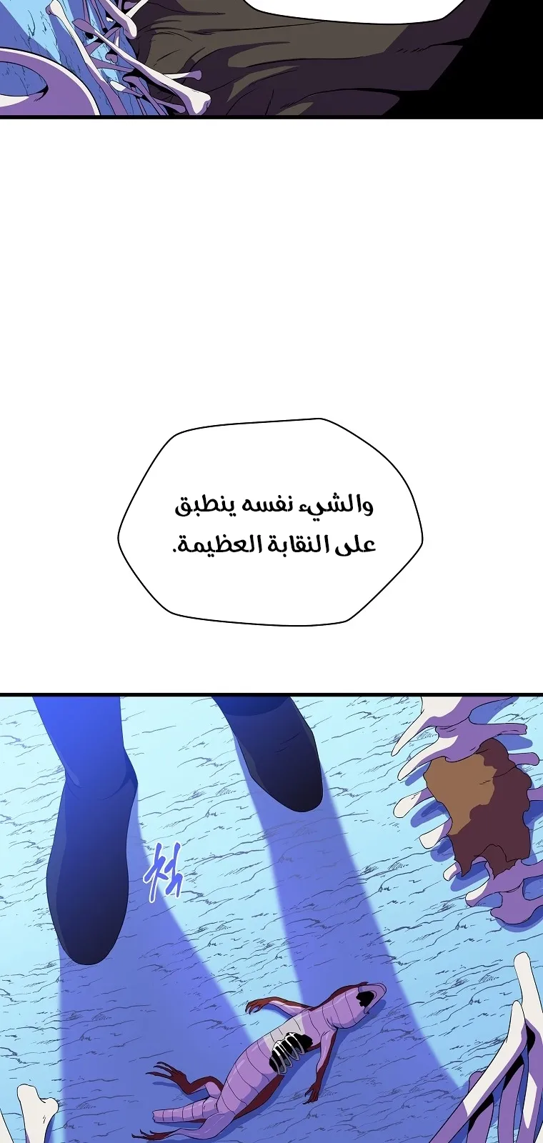 الصفحة 13 من 91