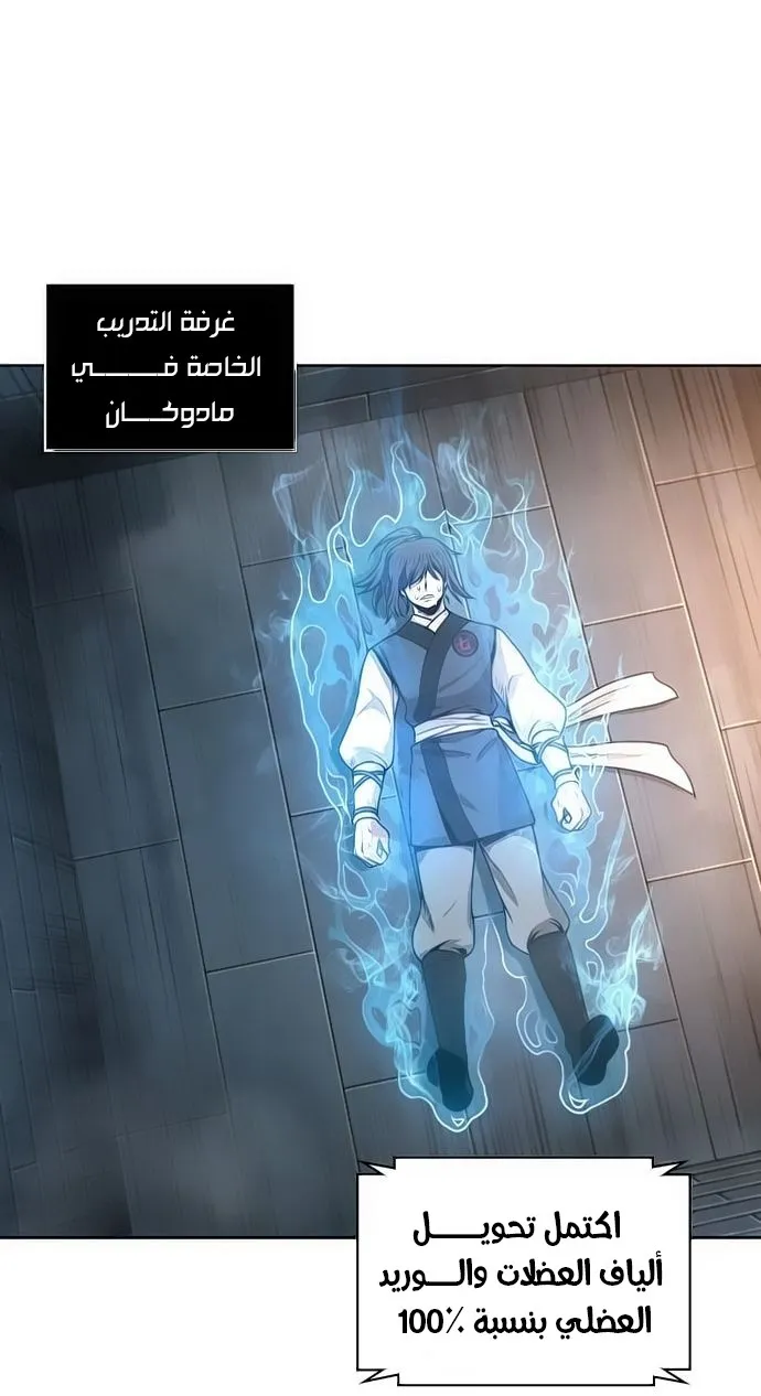 الصفحة 31 من 66