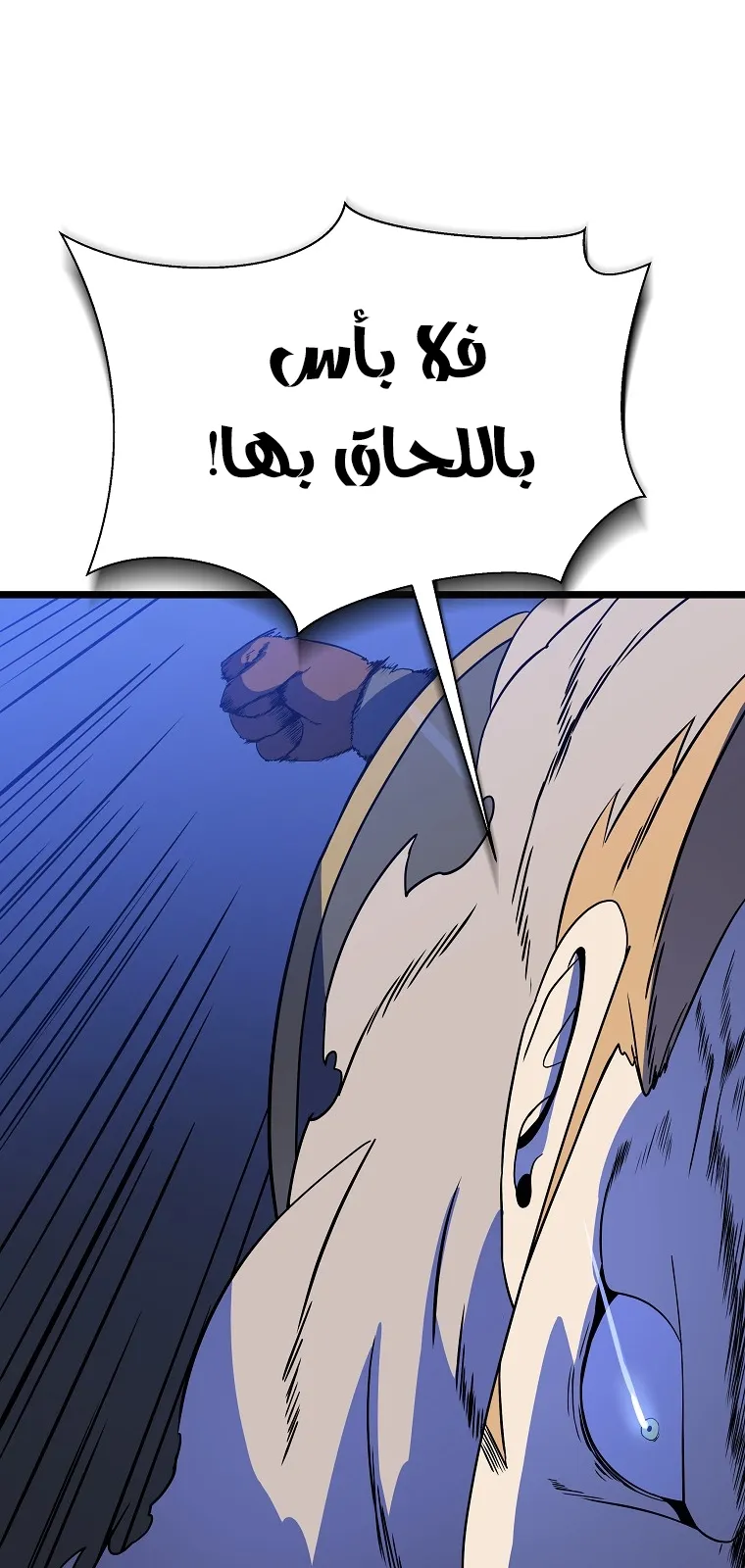 الصفحة 44 من 80