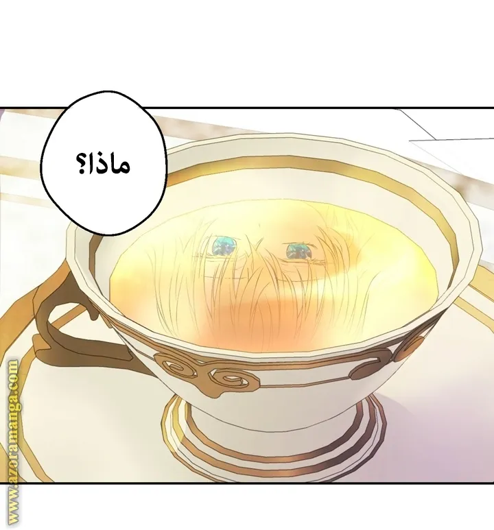 الصفحة 41 من 69