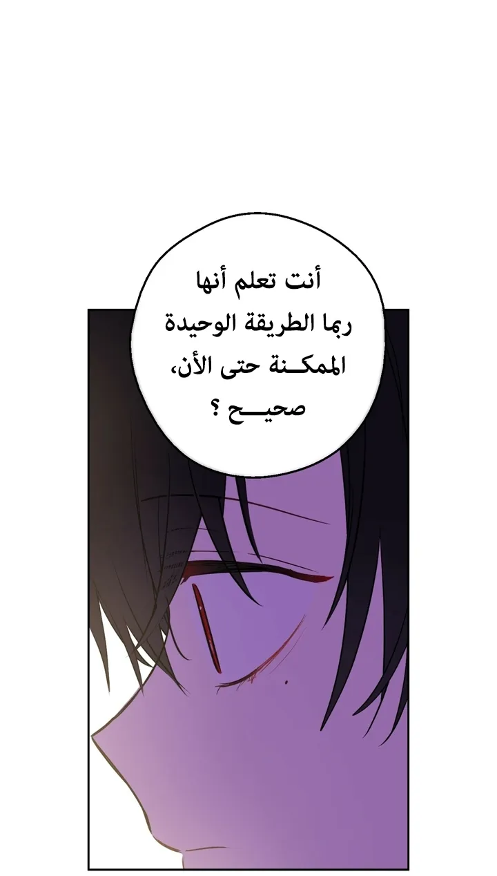 الصفحة 19 من 69