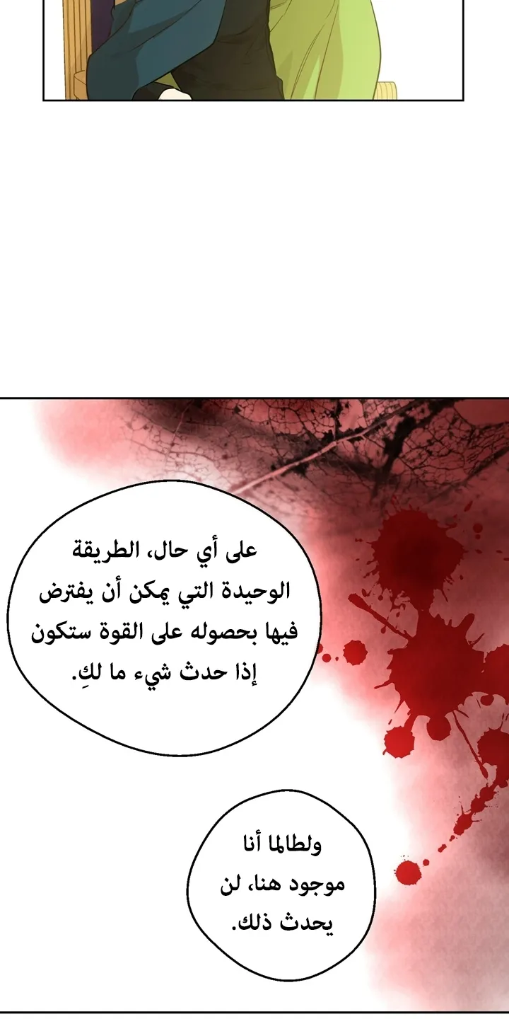 الصفحة 6 من 69