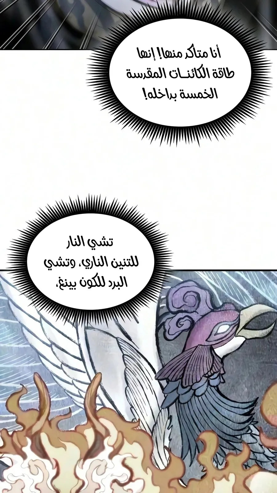 الصفحة 56 من 106