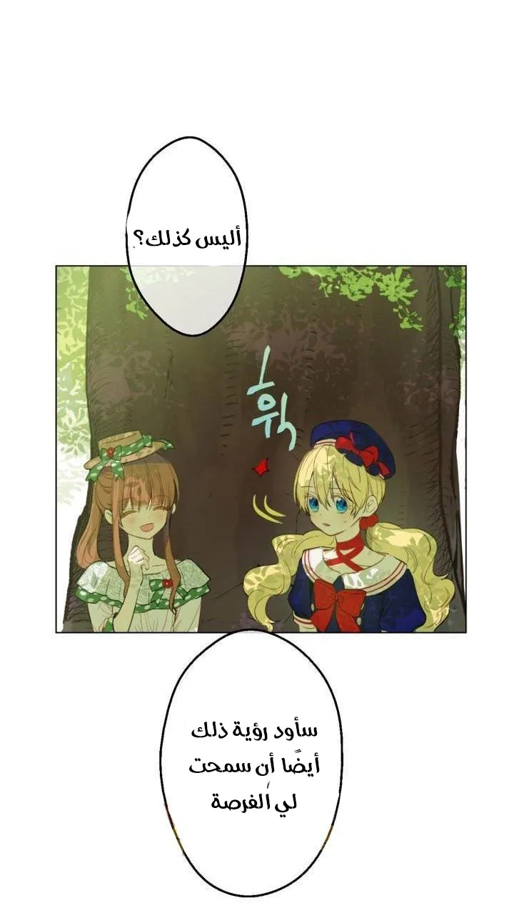 الصفحة 17 من 50