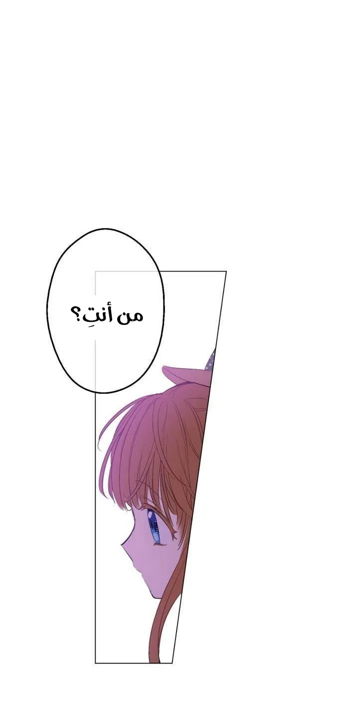 الصفحة 46 من 50