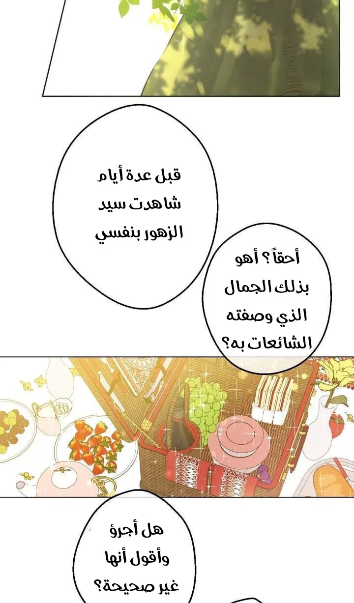 الصفحة 2 من 50