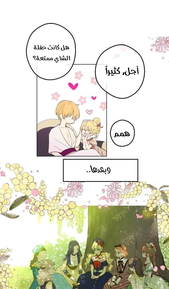 الصفحة 4 من 50