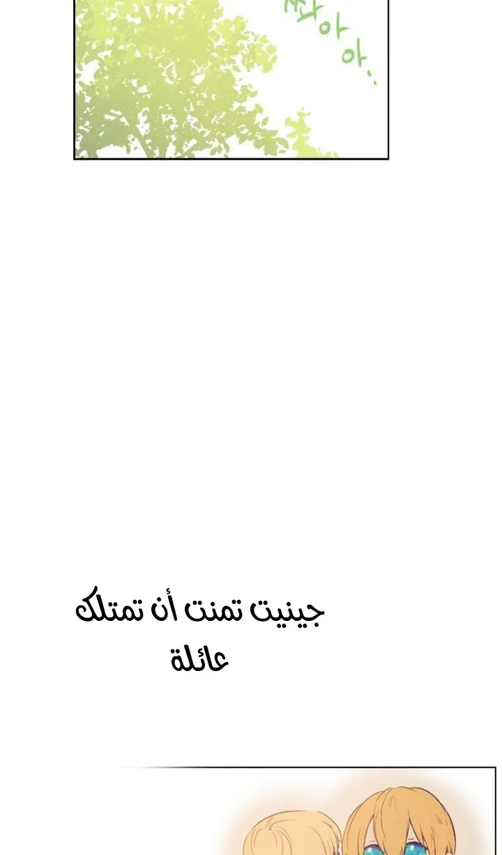 الصفحة 28 من 50