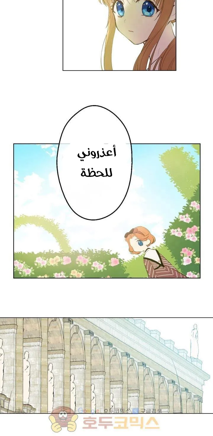 الصفحة 43 من 50
