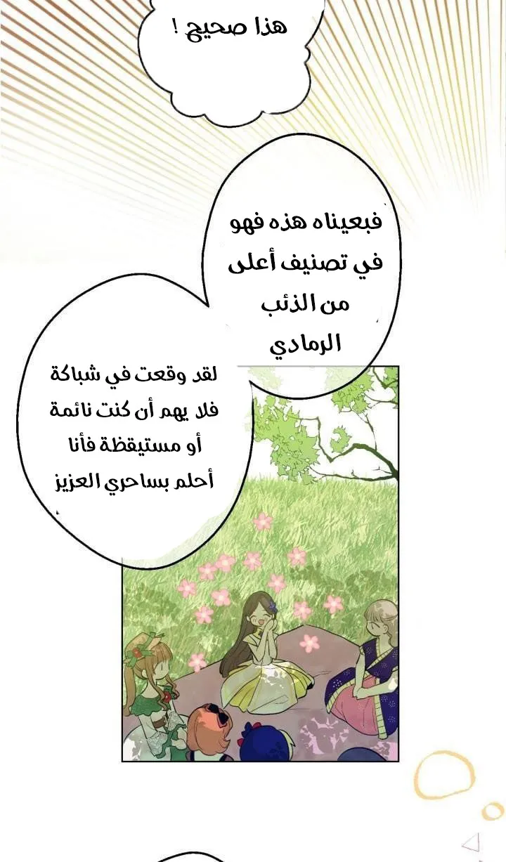 الصفحة 6 من 50