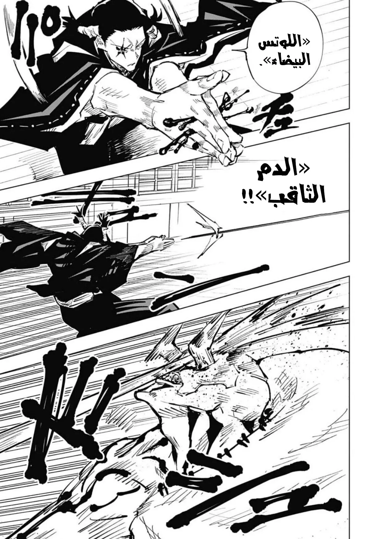 الصفحة 8 من 22