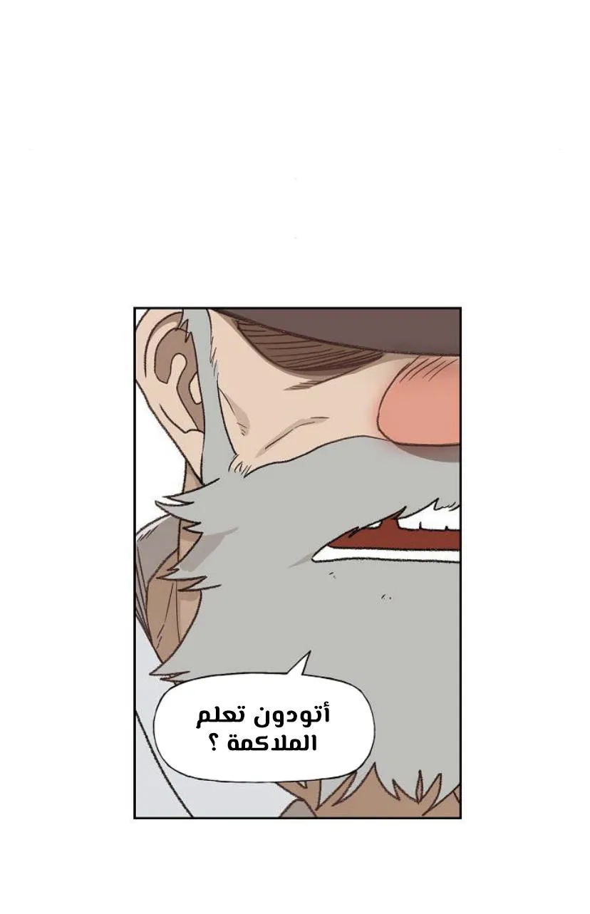 الصفحة 25 من 120