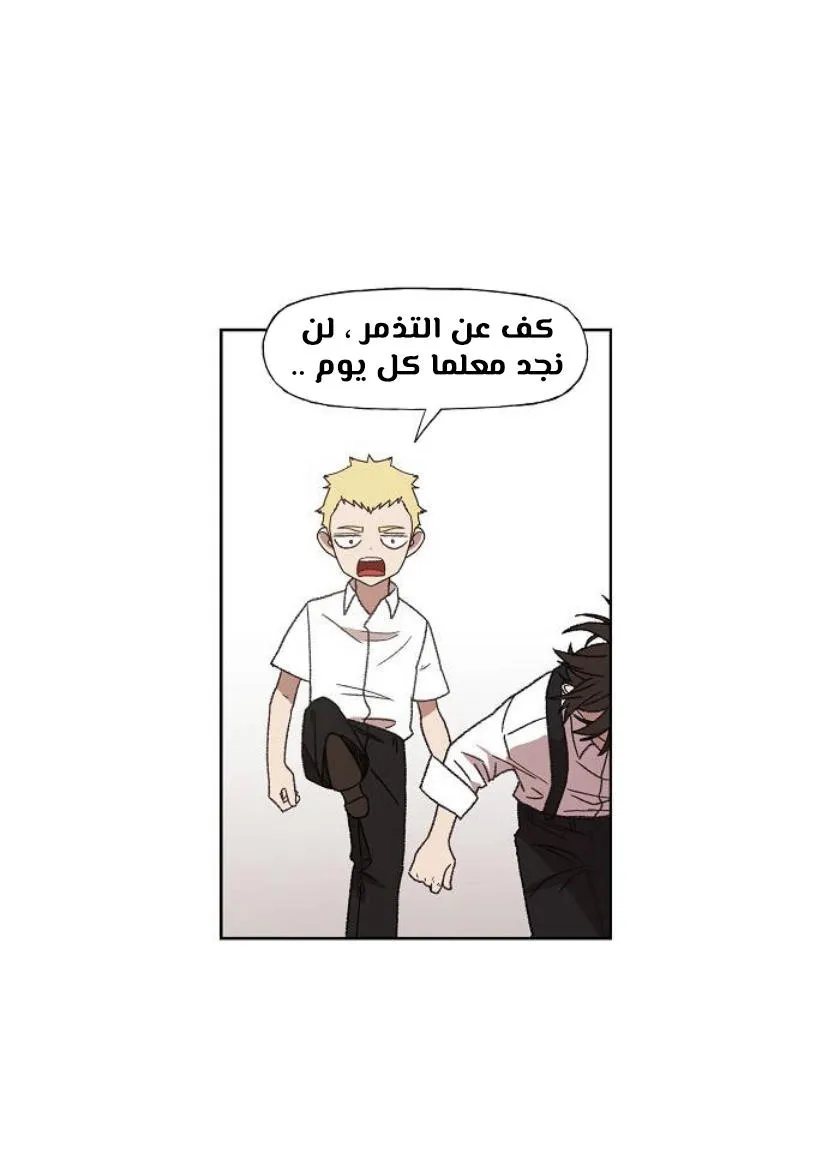 الصفحة 47 من 120