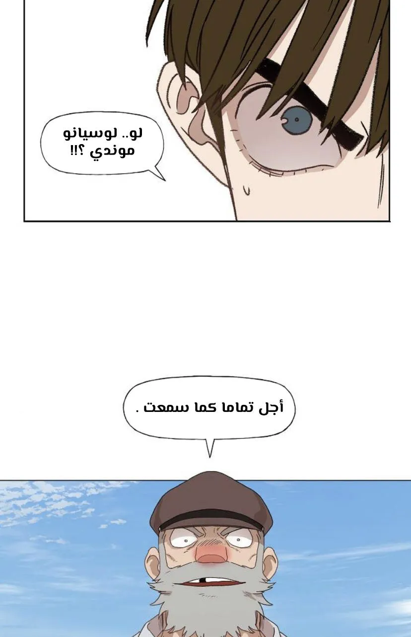 الصفحة 28 من 120