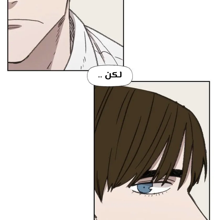 الصفحة 105 من 120
