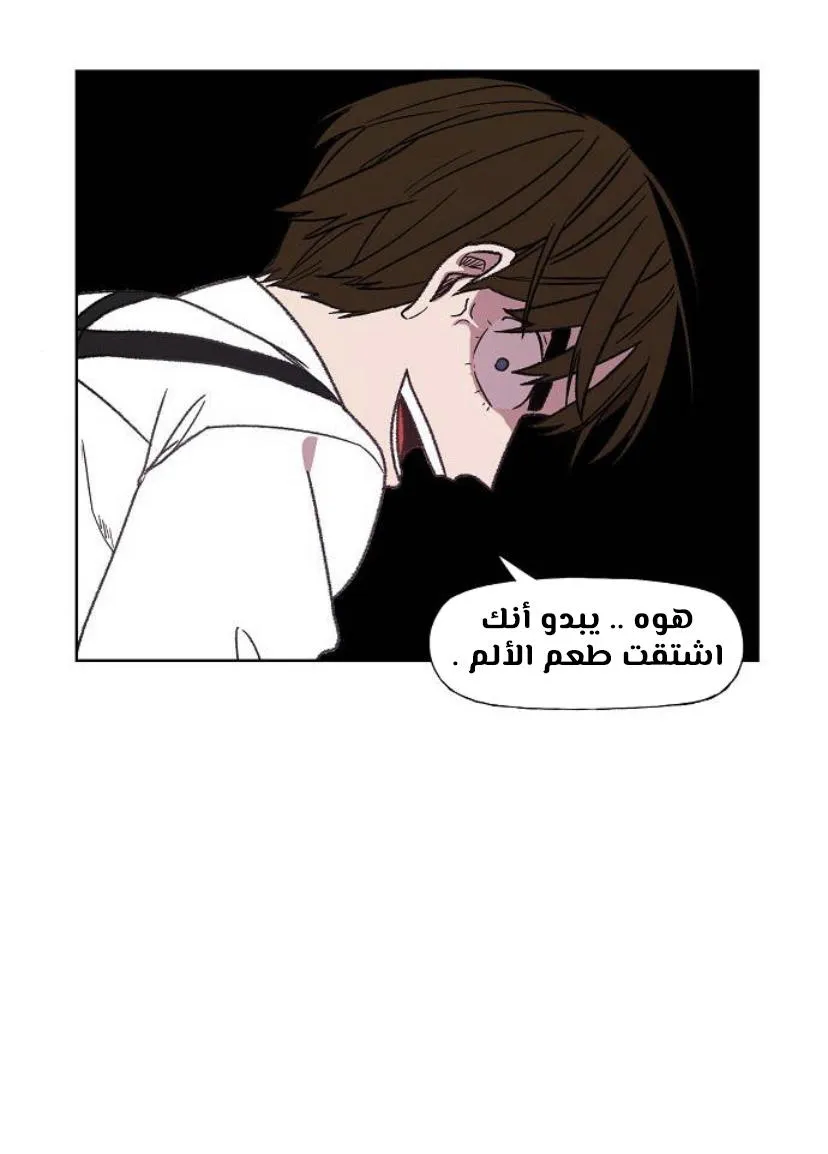 الصفحة 48 من 120
