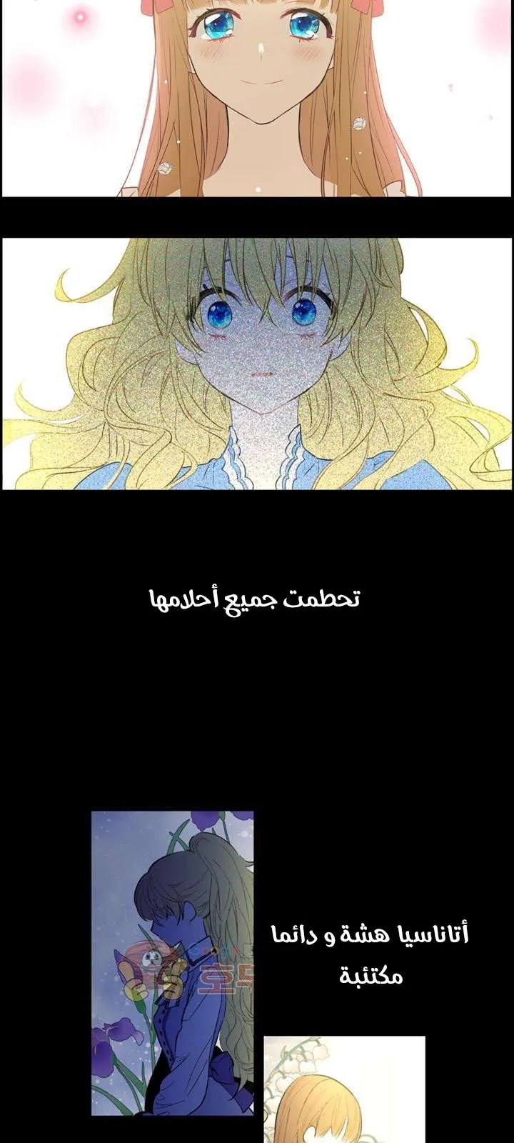 الصفحة 12 من 25
