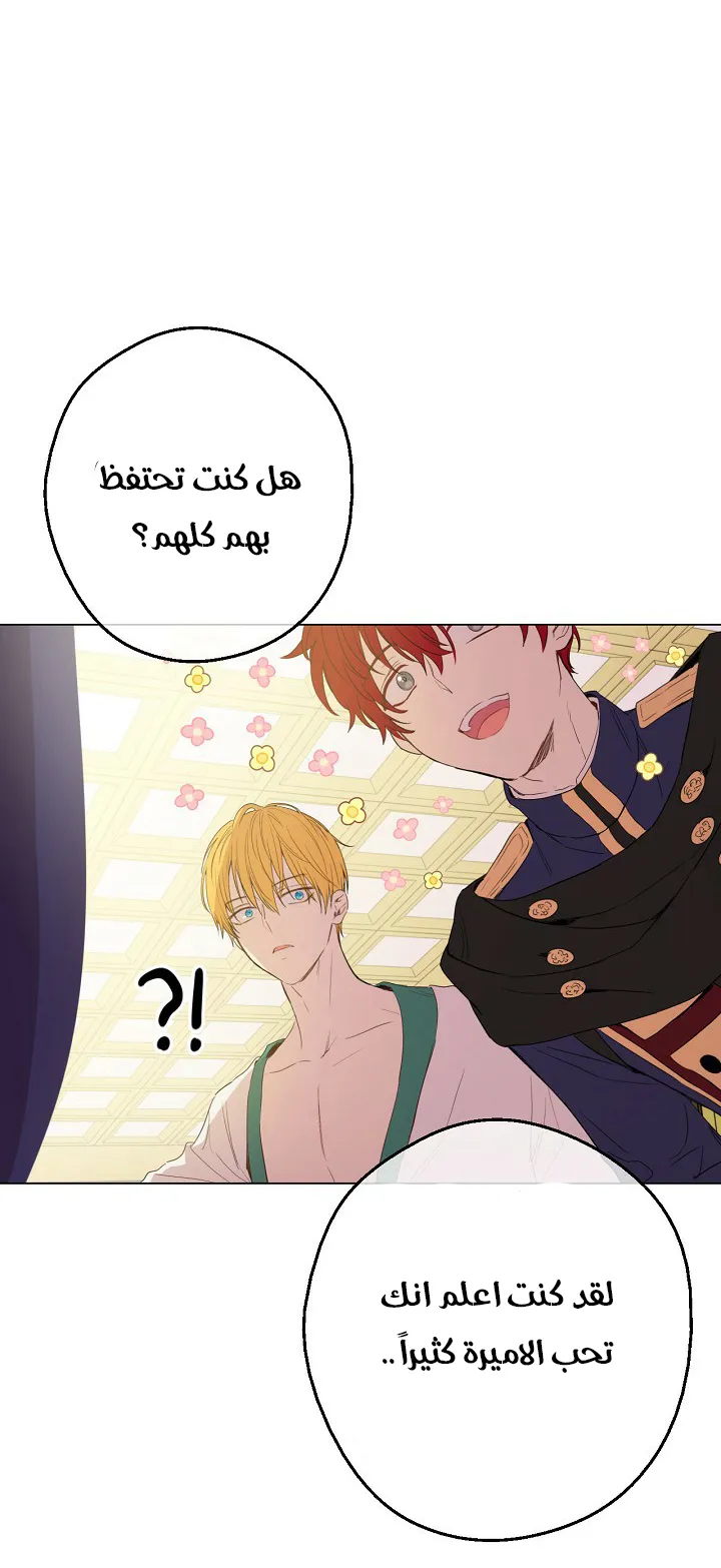 الصفحة 10 من 51