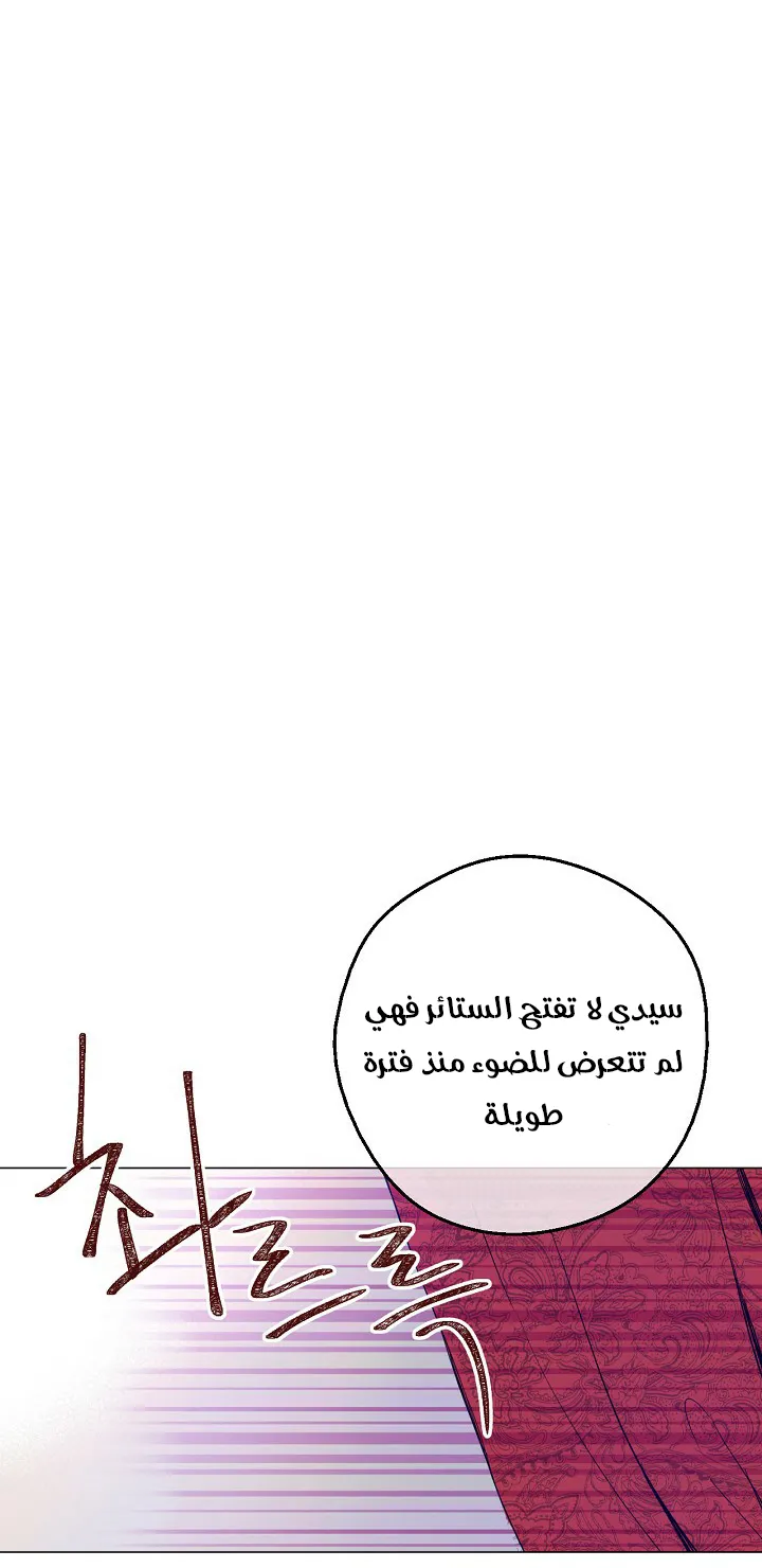 الصفحة 21 من 51