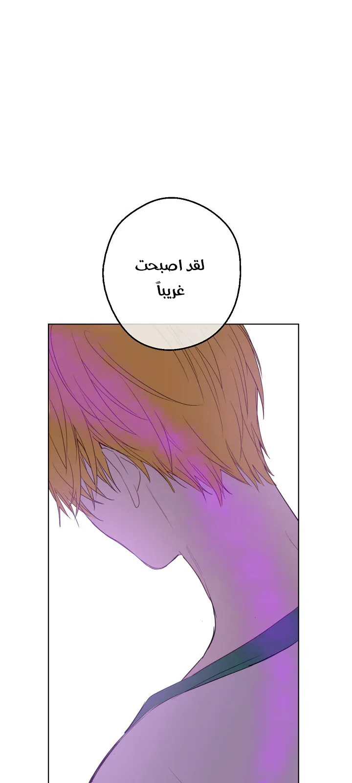 الصفحة 47 من 51