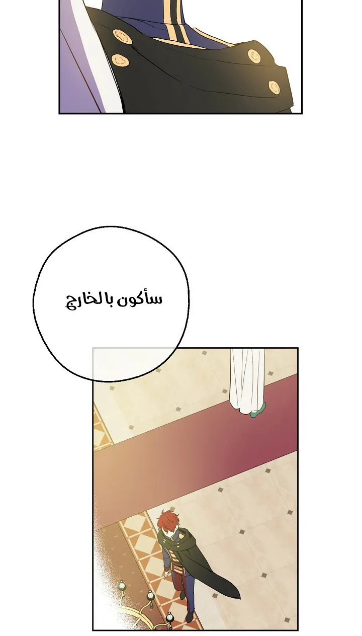 الصفحة 38 من 51