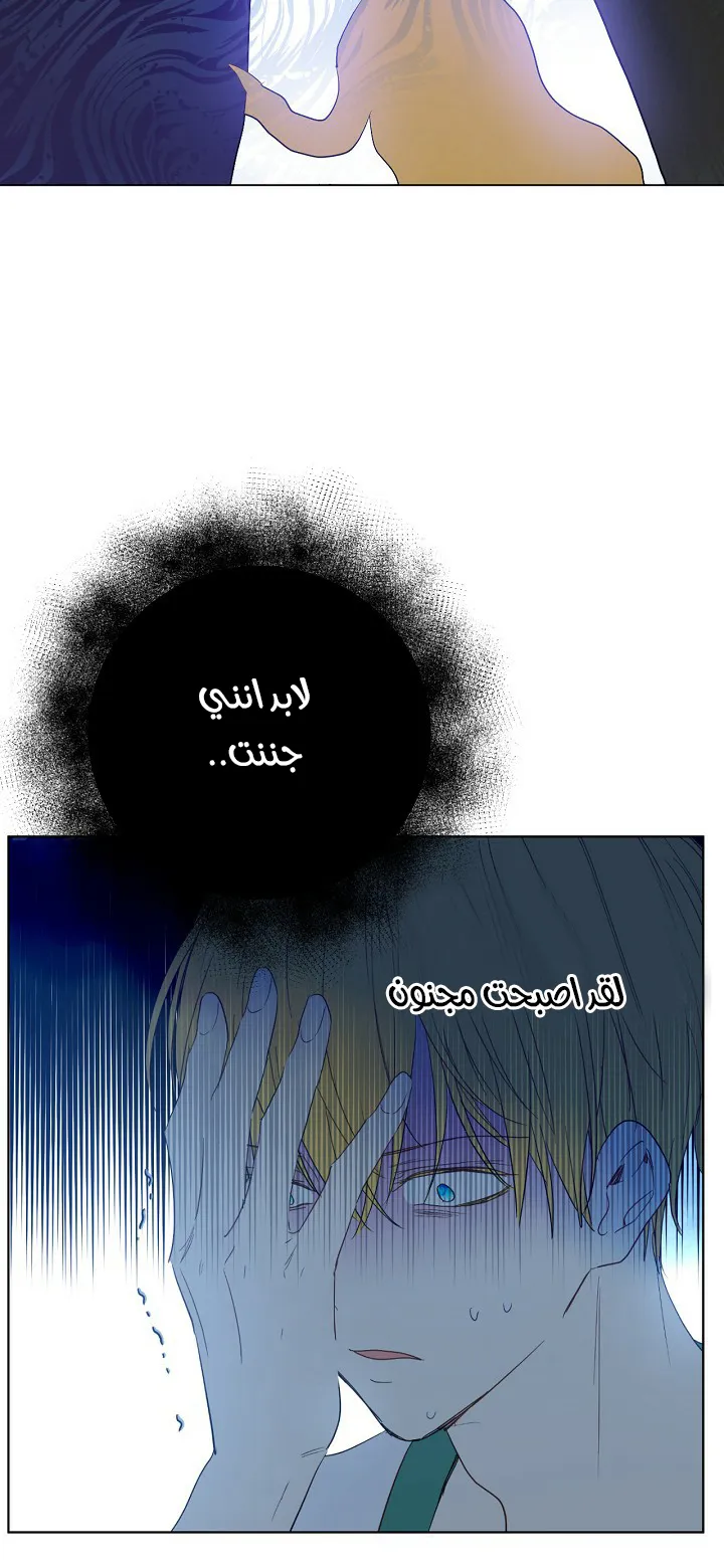 الصفحة 16 من 51
