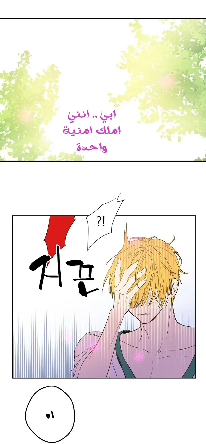 الصفحة 40 من 51