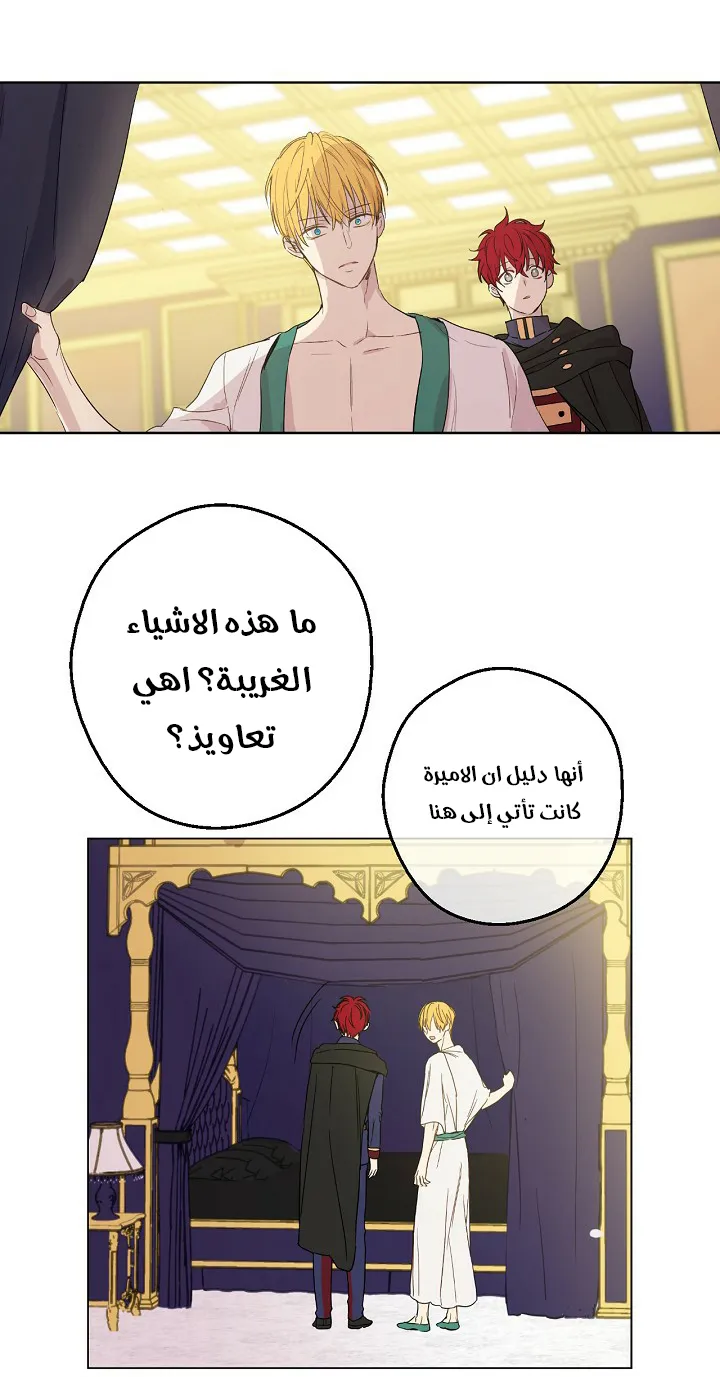 الصفحة 8 من 51