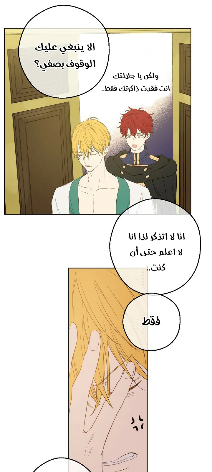 الصفحة 4 من 51