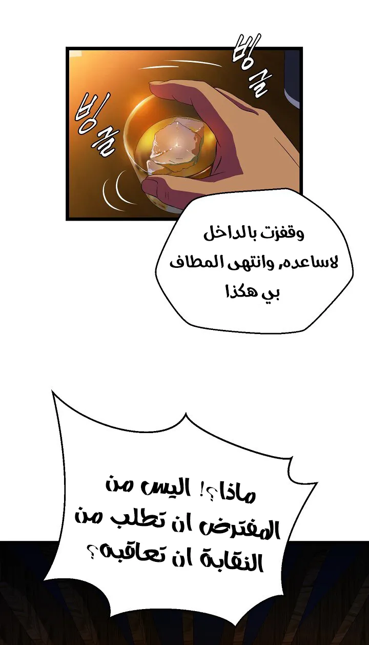 الصفحة 13 من 61