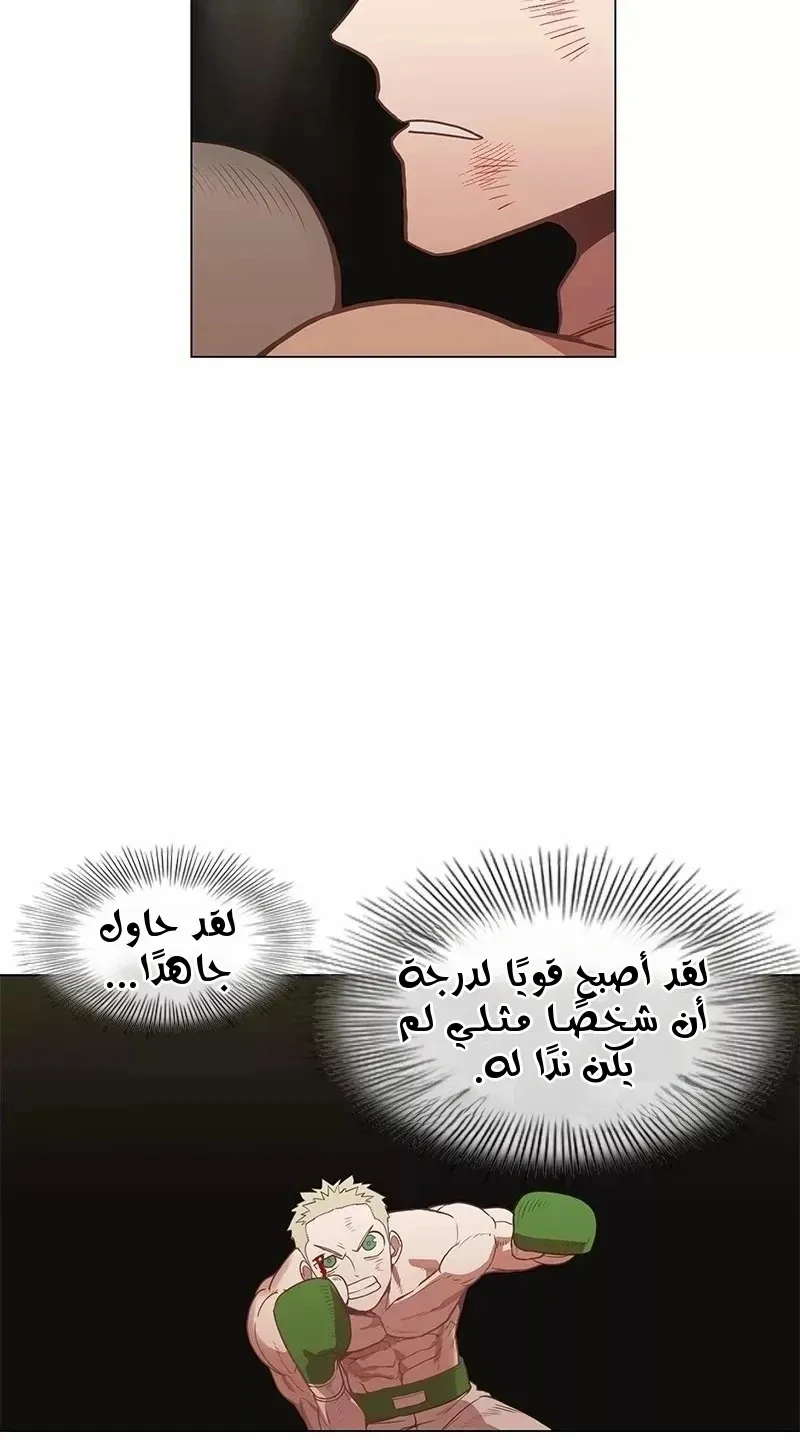 الصفحة 46 من 124