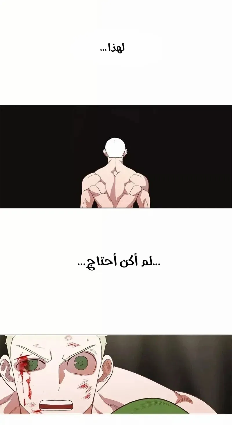 الصفحة 92 من 124