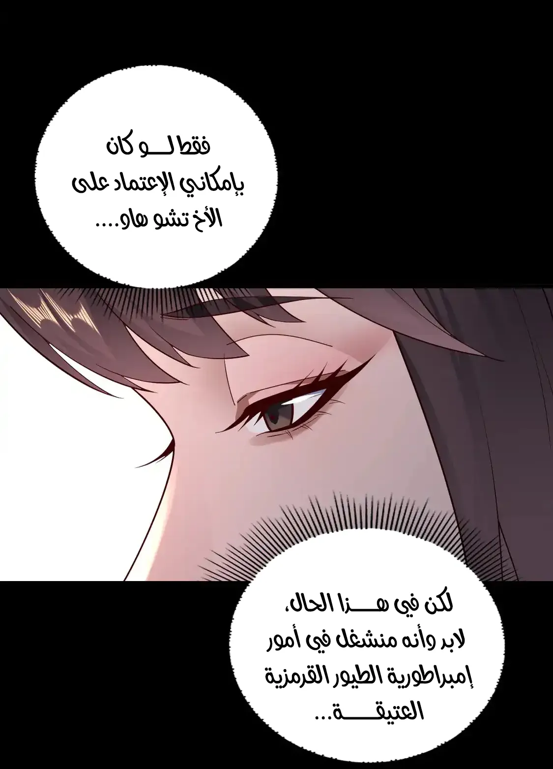 الصفحة 15 من 79