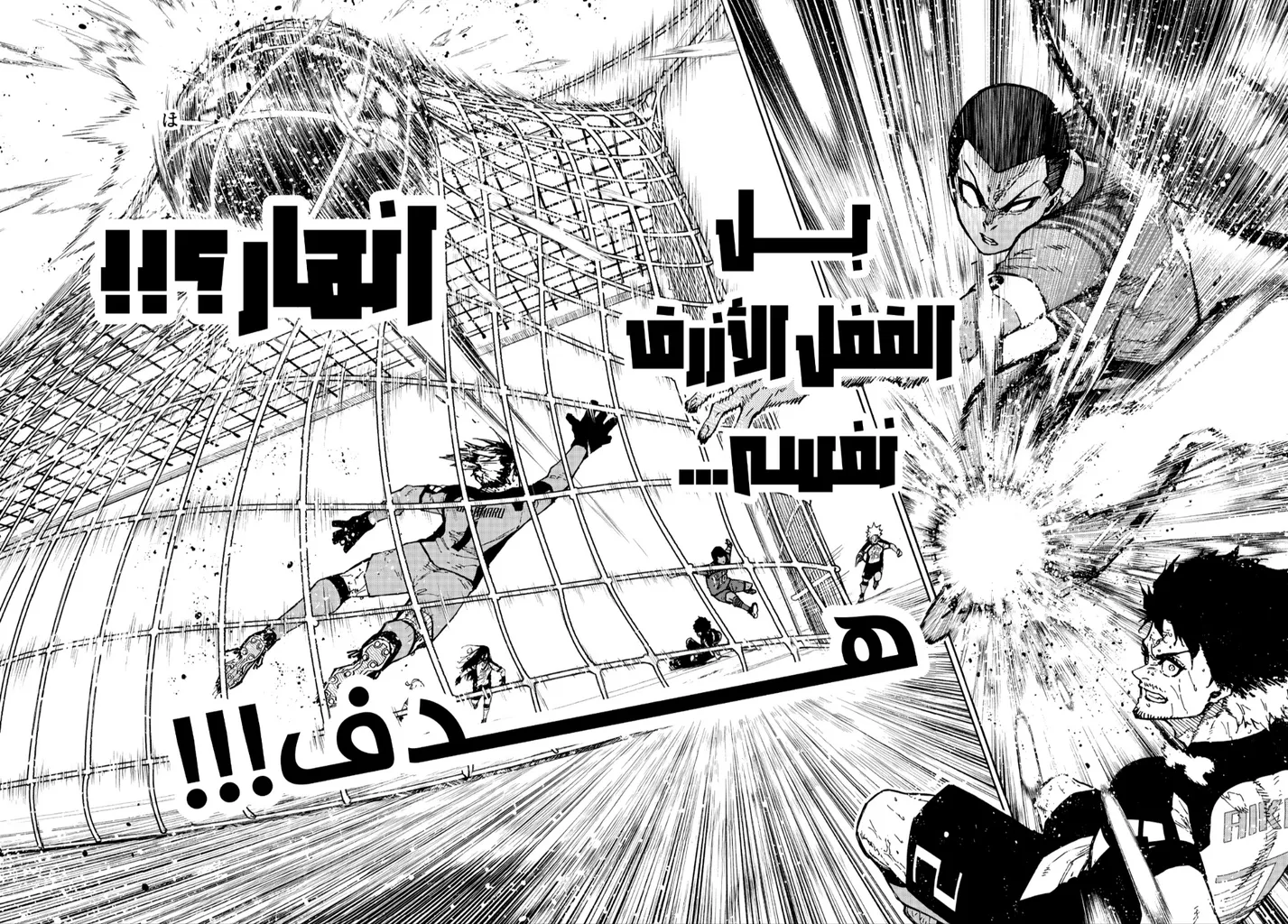 الصفحة 11 من 17