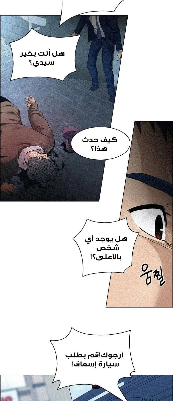 الصفحة 11 من 63