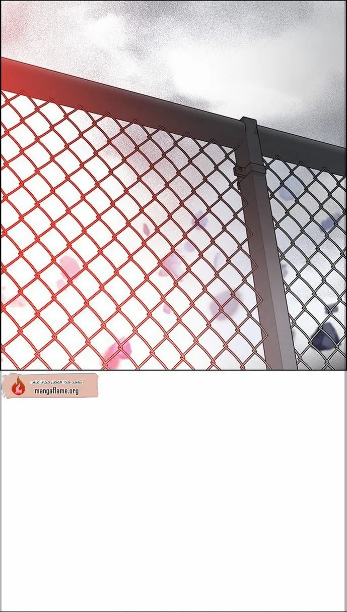 الصفحة 19 من 60