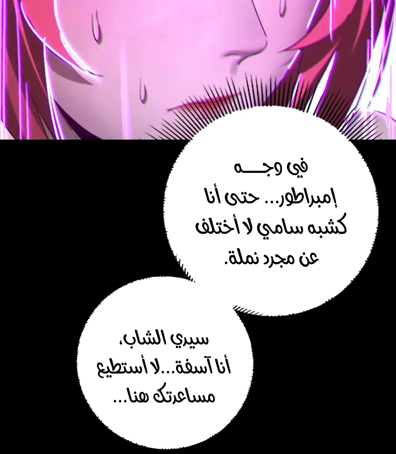 الصفحة 14 من 95