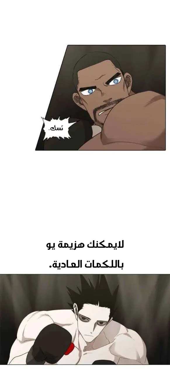 الصفحة 26 من 65