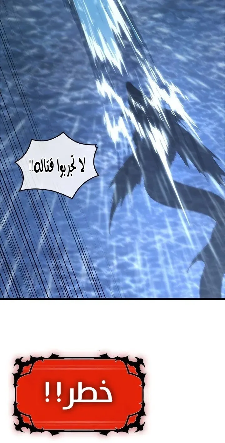 الصفحة 60 من 81