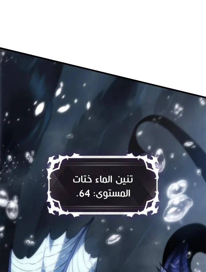الصفحة 29 من 81