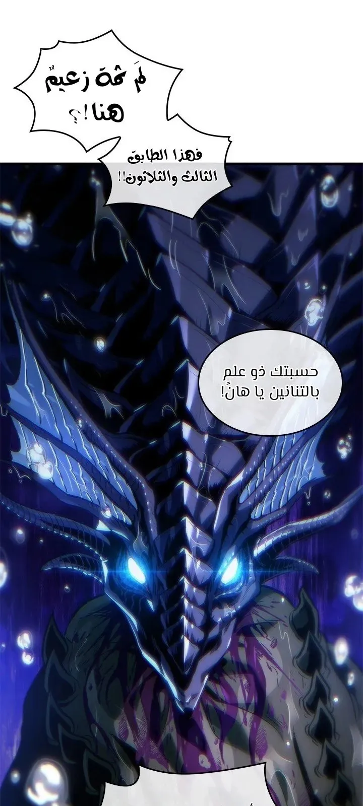 الصفحة 32 من 81