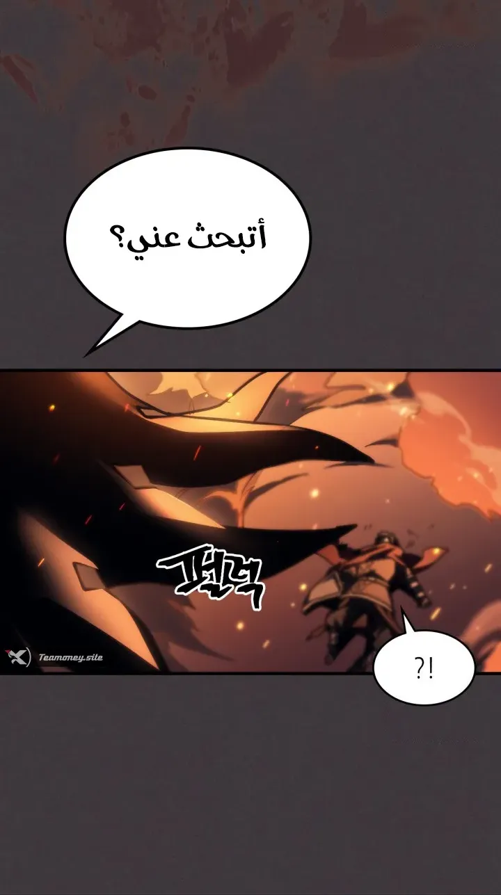 الصفحة 56 من 63