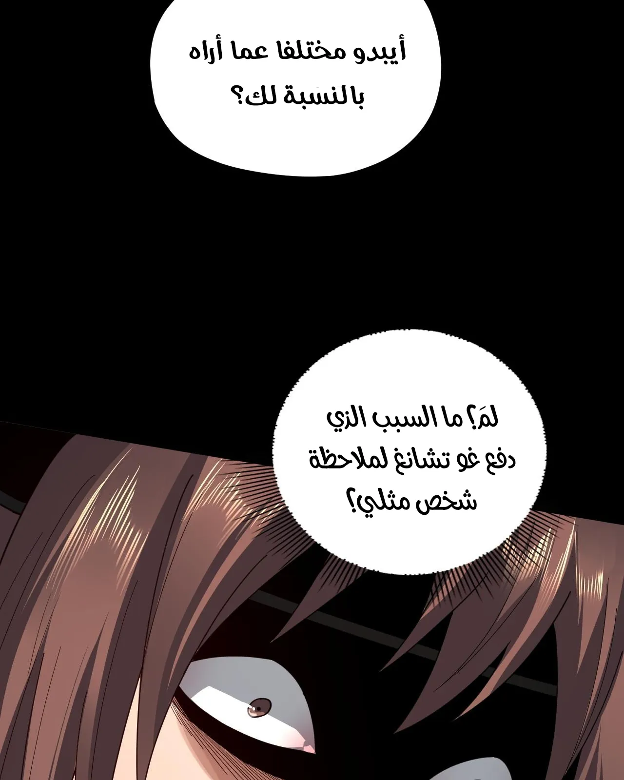 الصفحة 13 من 85