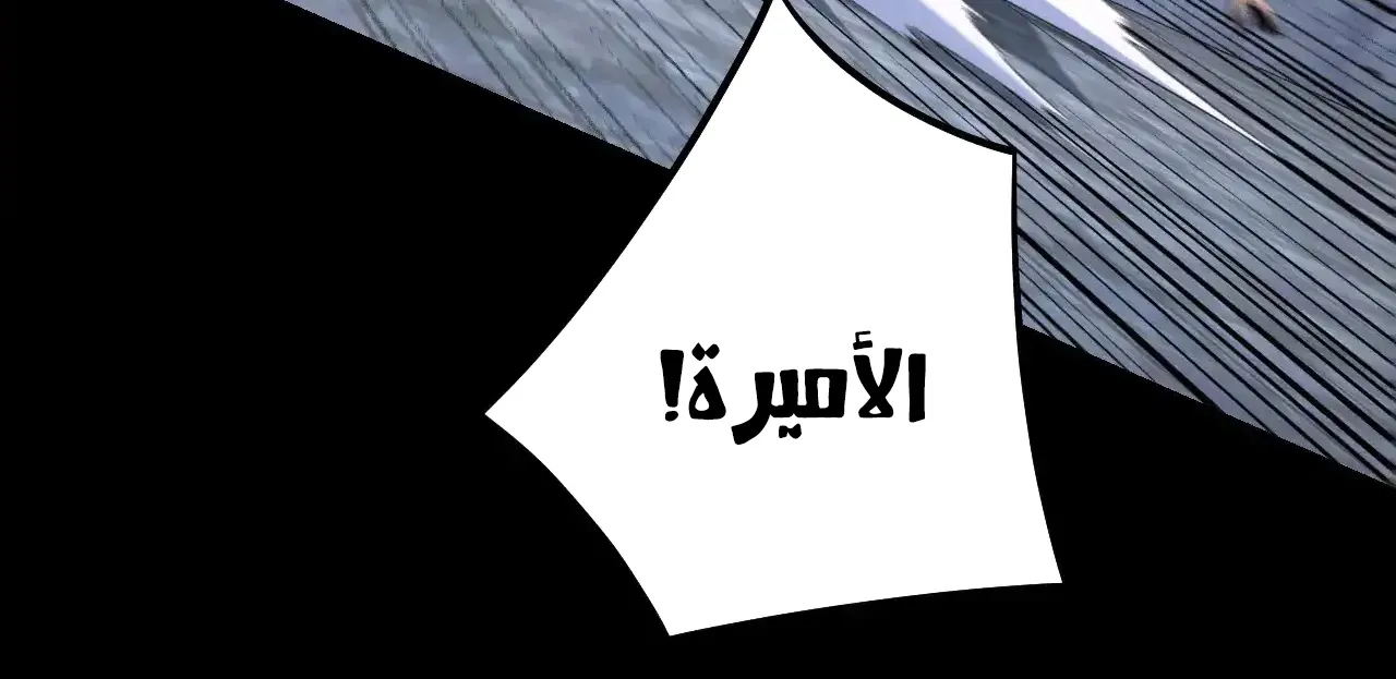 الصفحة 19 من 91