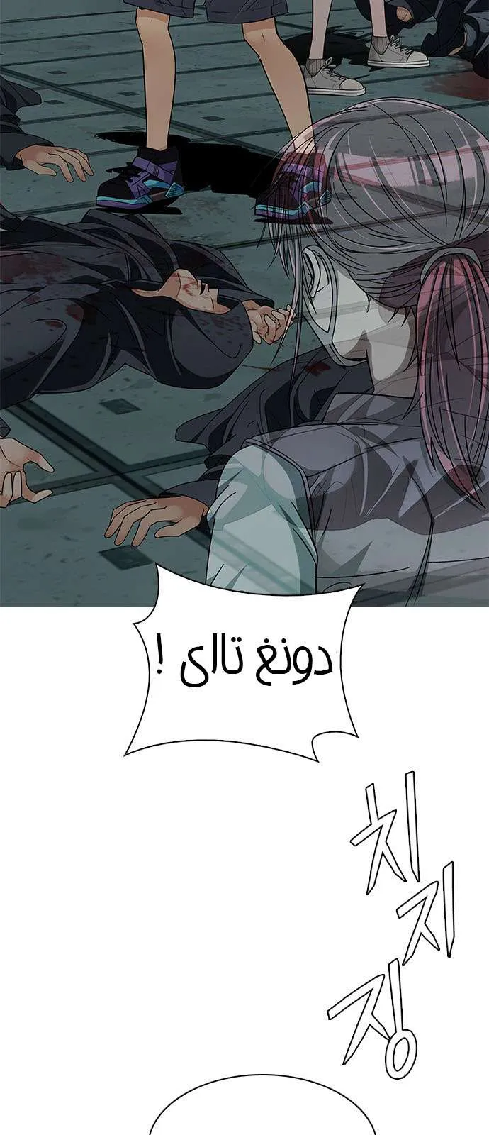 الصفحة 43 من 54