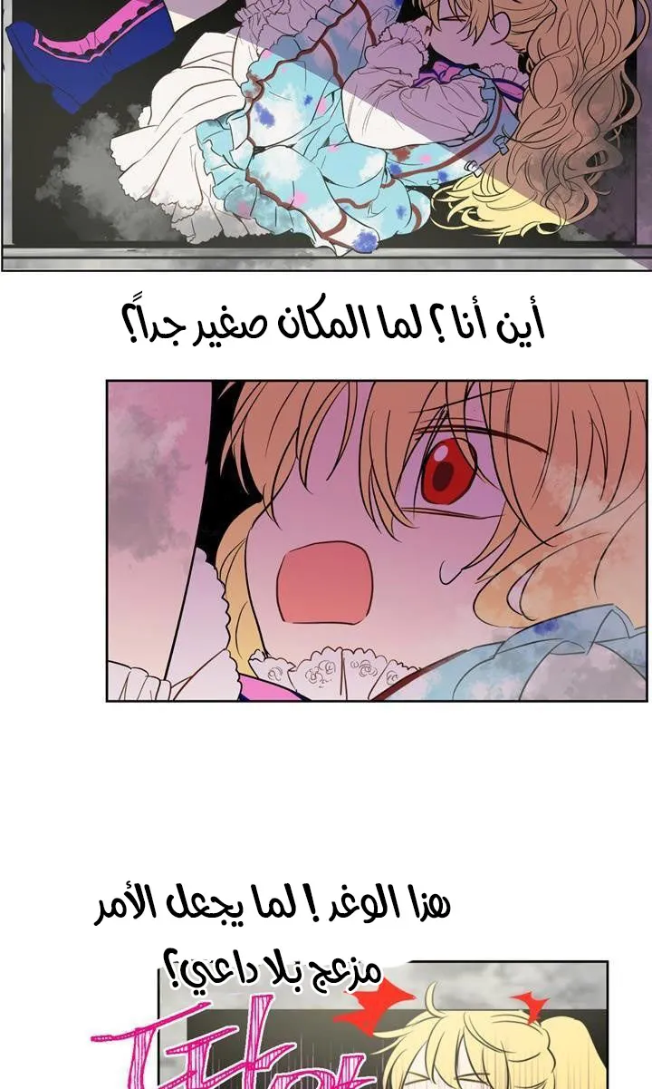 الصفحة 44 من 82